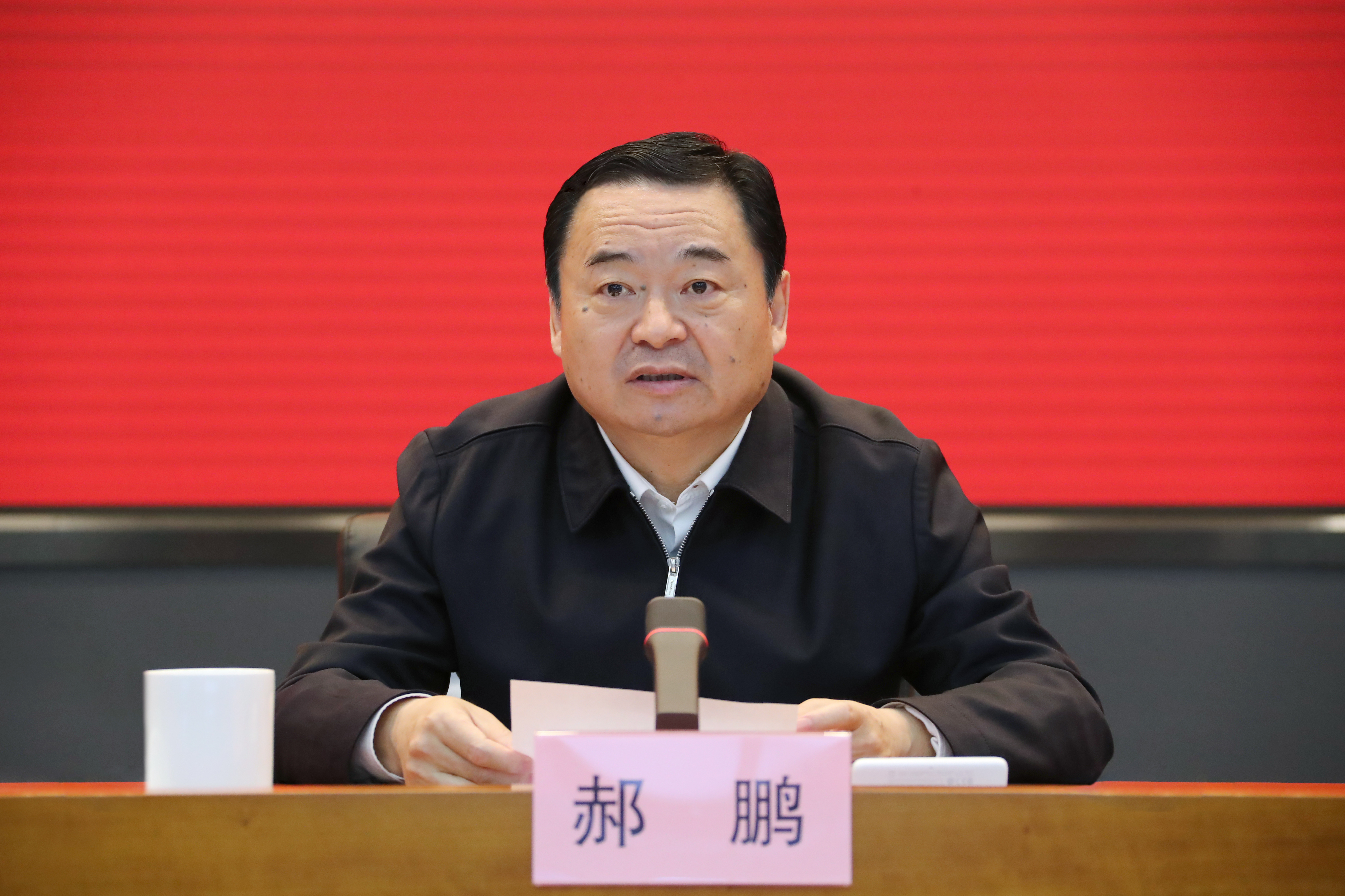 郝鵬、國資、央企、國資委、書記、主任、國企、企業改革