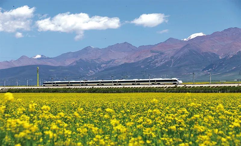 張玉卓、國資、央企、國資委、書記、主任、國企、企業(yè)改革